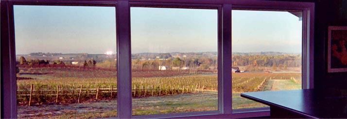 Wine with a point of view